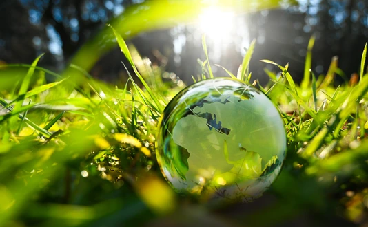 Green glass globe with green leaves and morning sunlight.