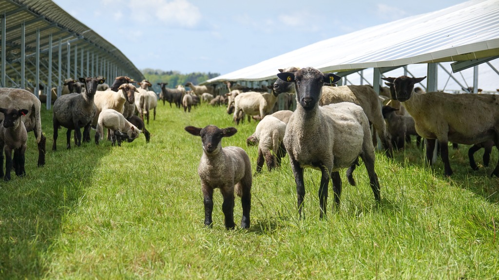 Solar park Stockbronner Hof 01
