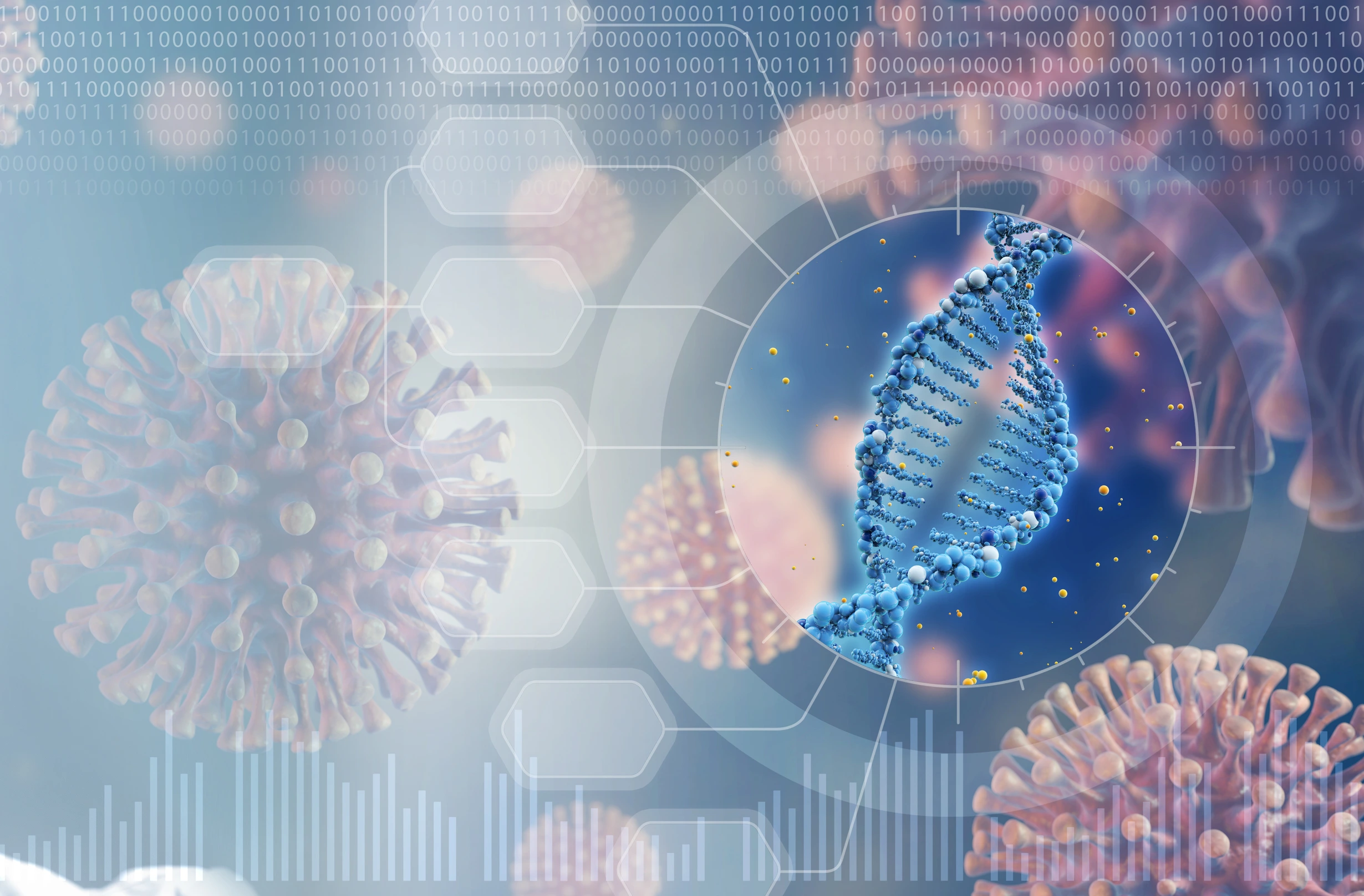 analysis of the virus genome concept
