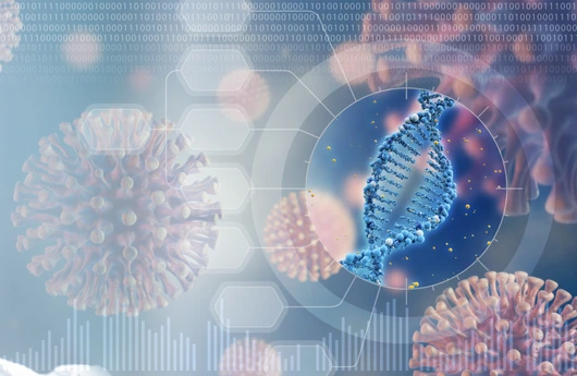 analysis of the virus genome concept