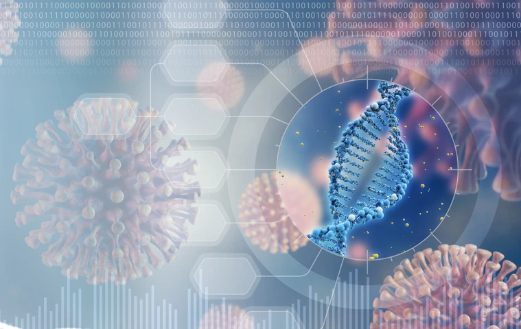 analysis of the virus genome concept