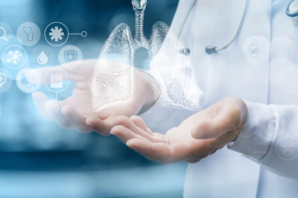 Medical worker shows human lungs .