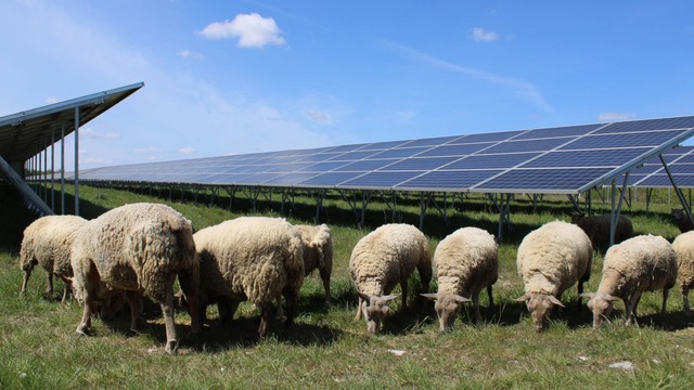 BayWa r.e. transforms former military land into solar energy hub