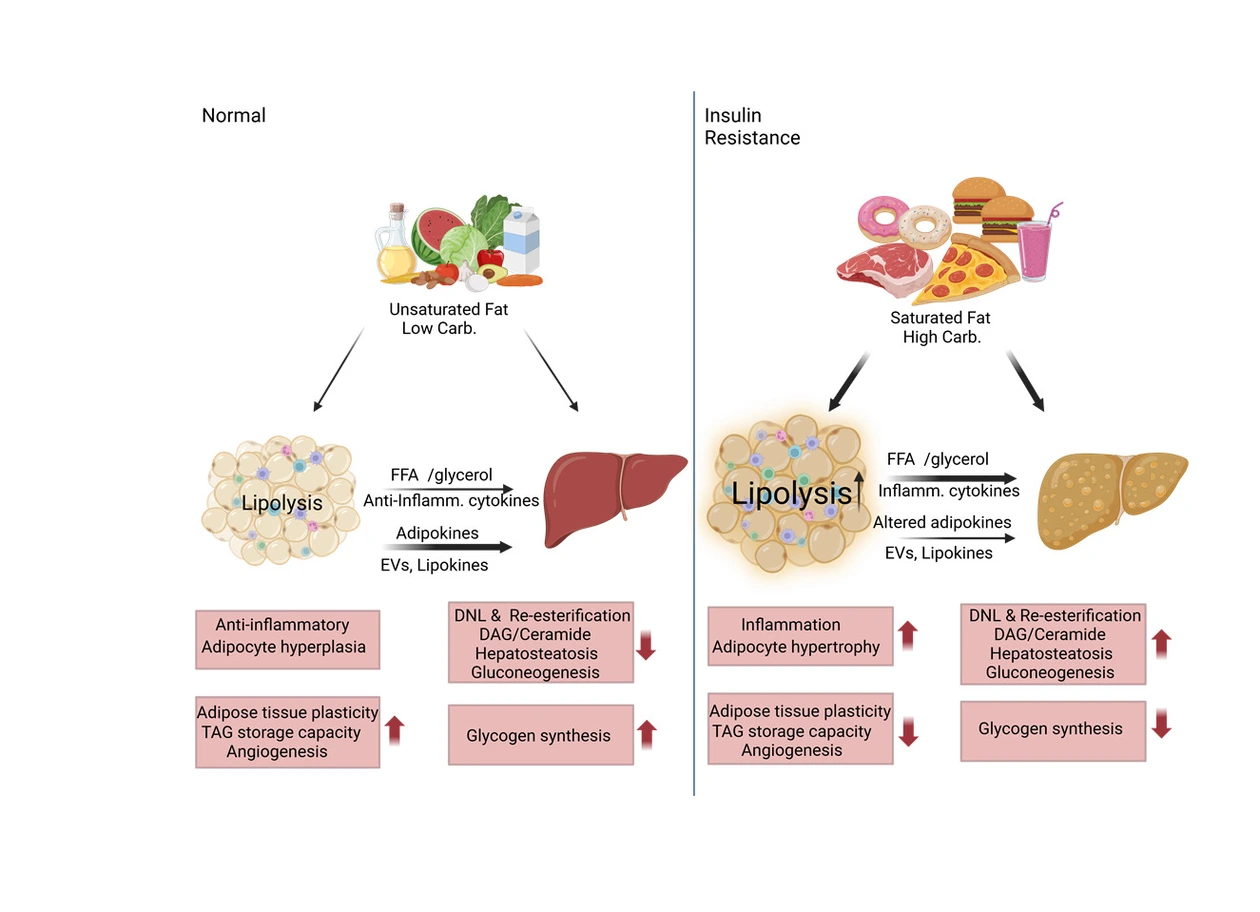 © Gencer Sancar & Andreas Birkenfeld