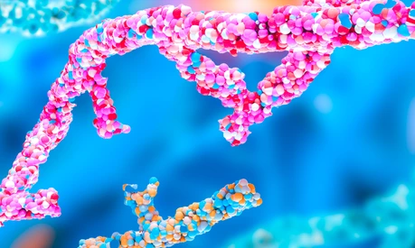 CRISPR gene editing