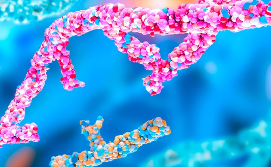 CRISPR gene editing