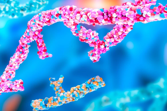CRISPR gene editing