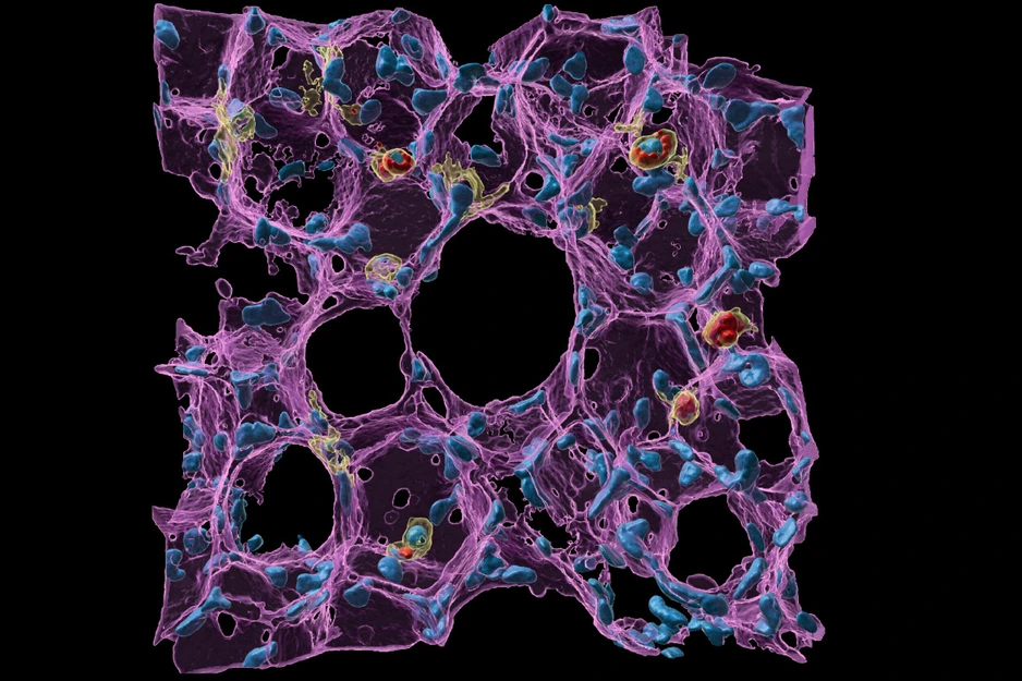 [Translate to German:] 