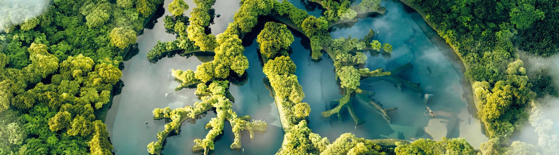 A conceptual image showing a lung-shaped lake in a lush and pristine jungle
