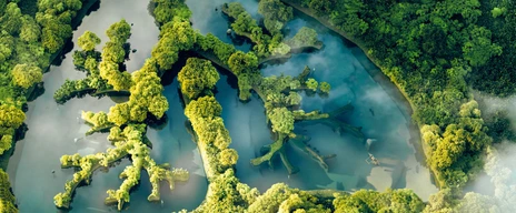 A conceptual image showing a lung-shaped lake in a lush and pristine jungle
