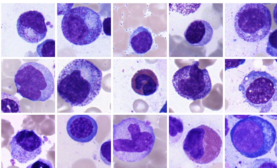 [Translate to German:] 