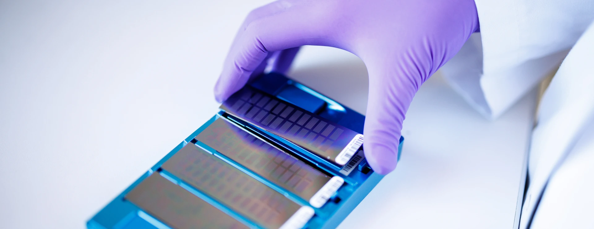 Genotyping Microarrays