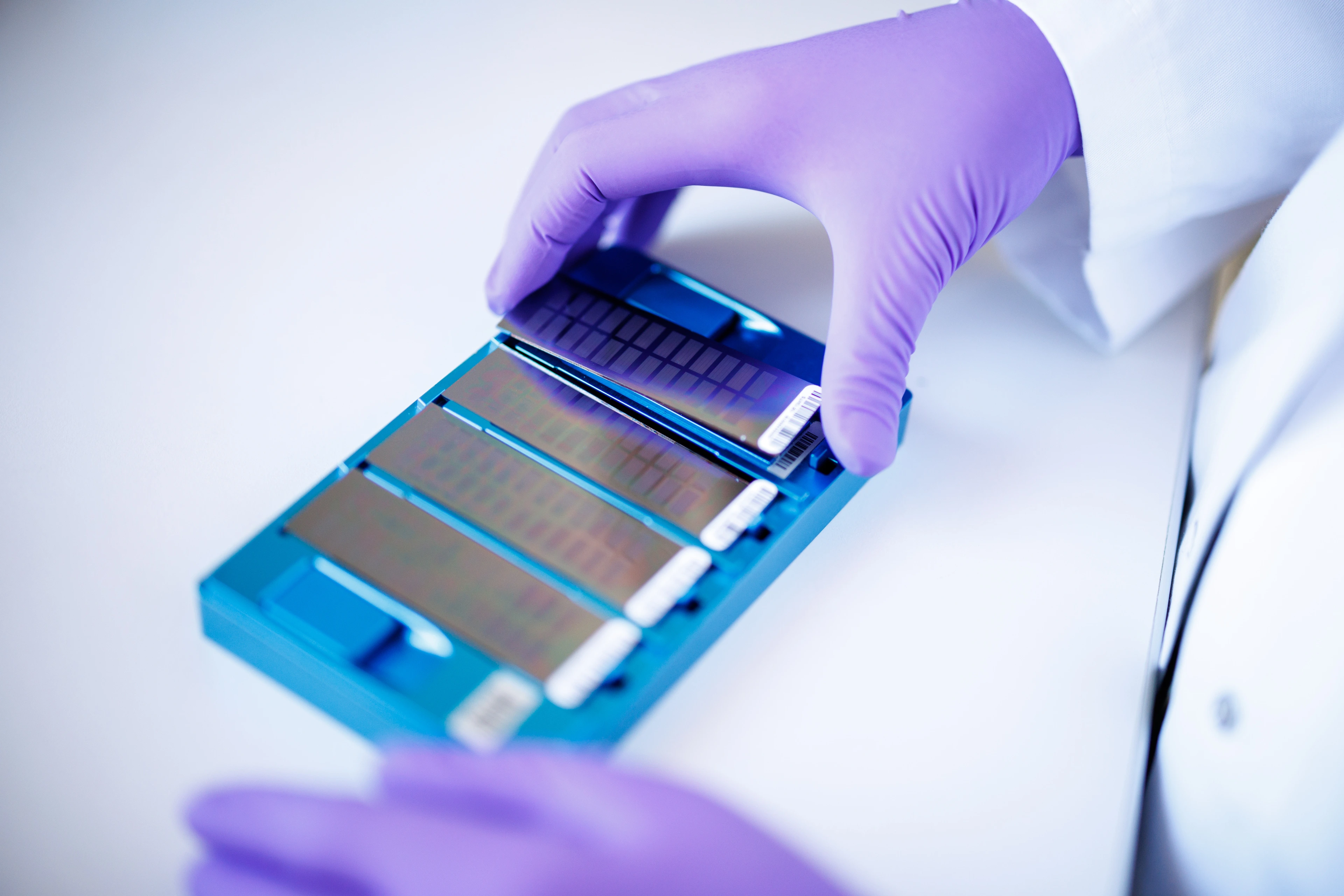 Genotyping Microarrays