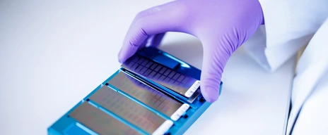 Genotyping Microarrays