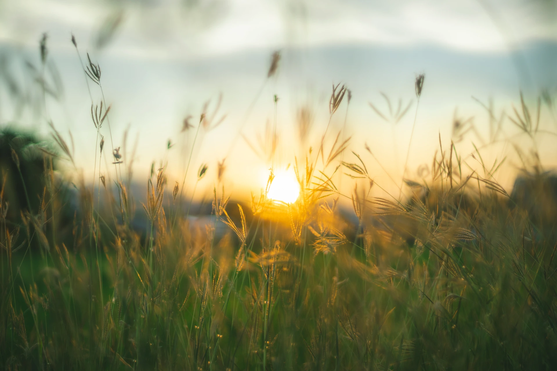 AdobeStock_240697095