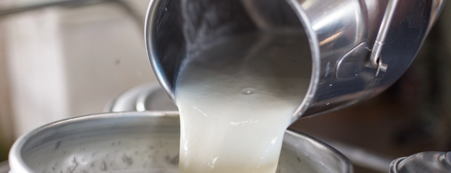AdobeStock_139104947.jpeg