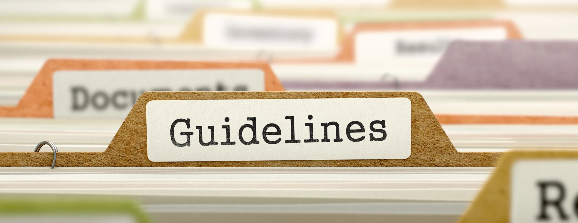 File Folder Labeled as Guidelines.