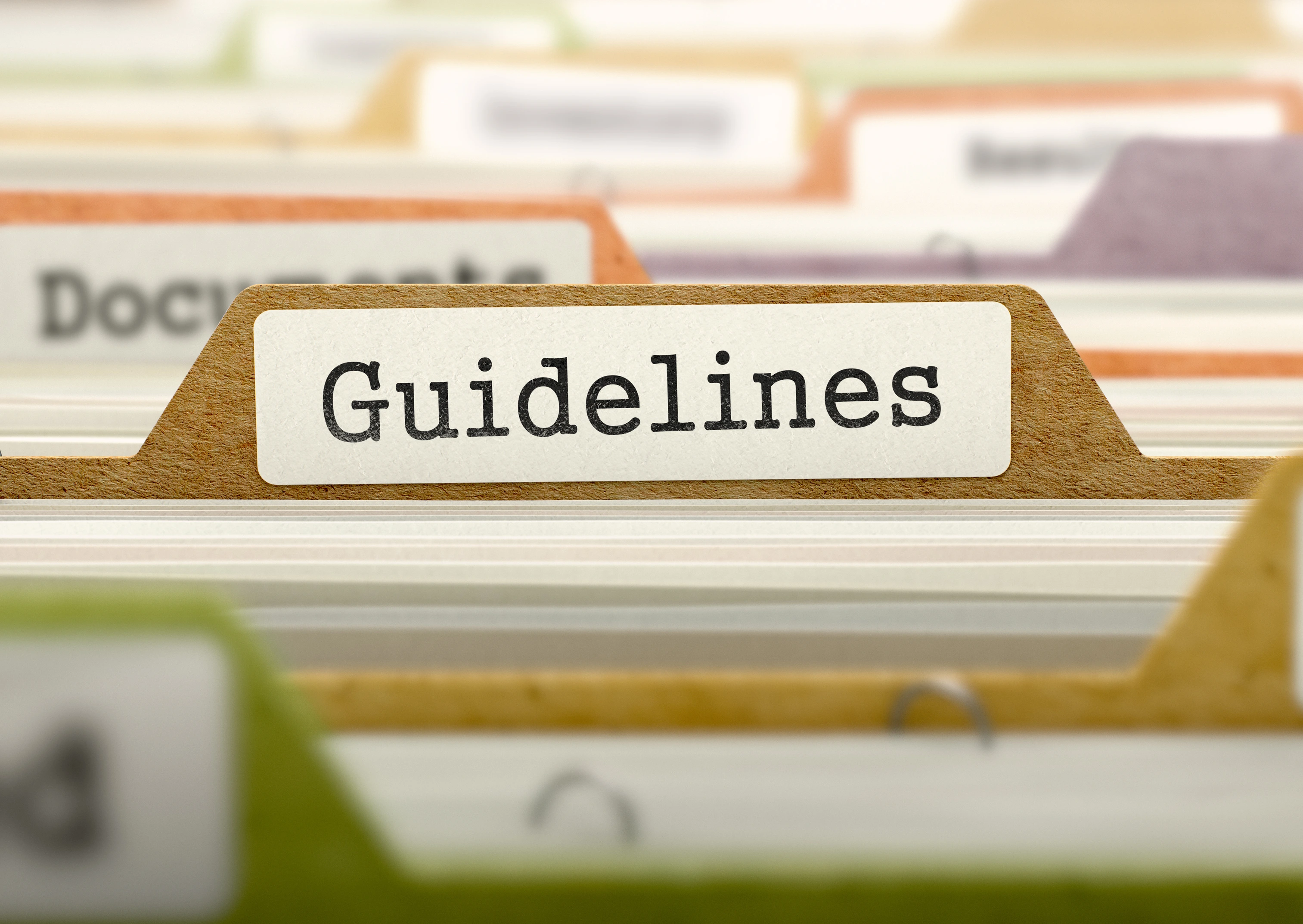 File Folder Labeled as Guidelines.