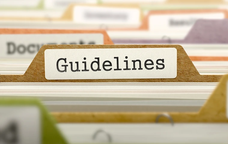 File Folder Labeled as Guidelines.