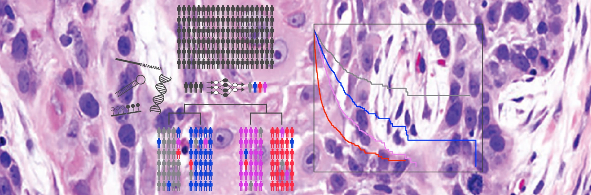 helmholtz_munich_zyto