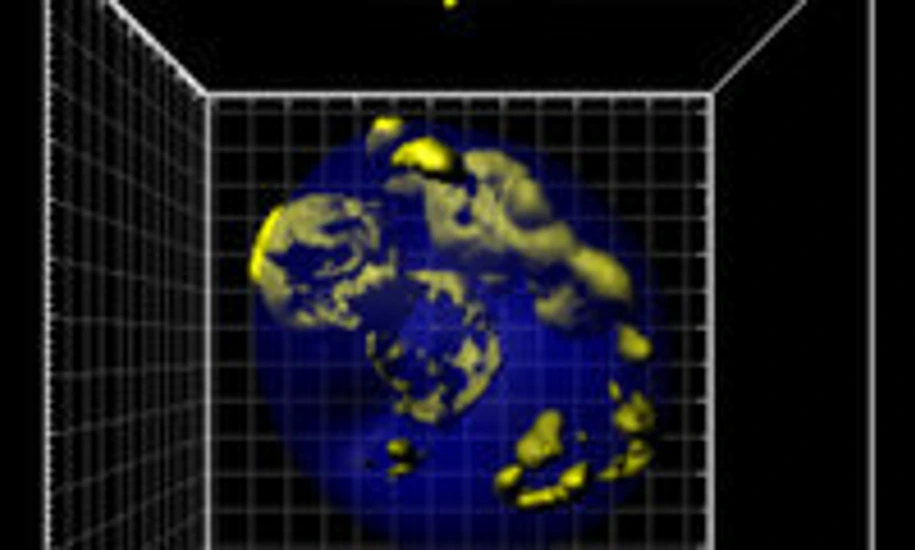 Totipotency and Pluripotency