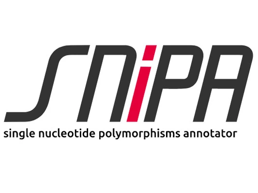 SysMet_Project_snipa_535x401_ICB