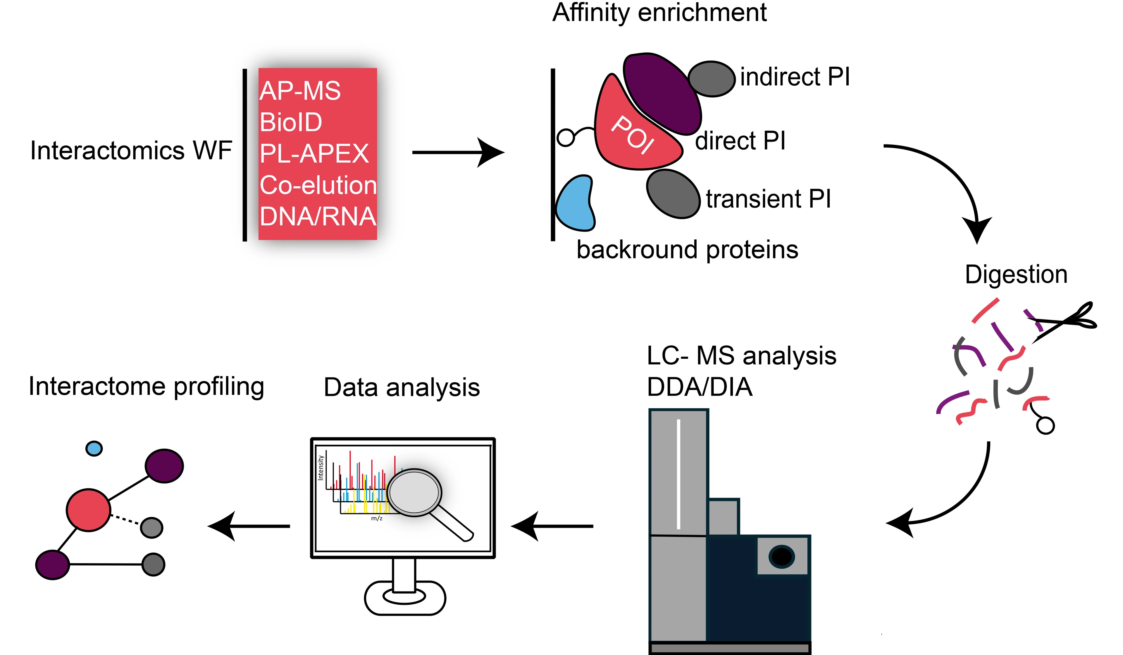 Interactomics Workflow