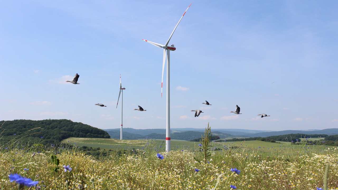 Husum Wind