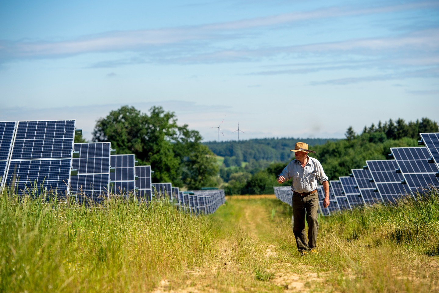 Discover more about all the stages involved in renewable energy projects 
