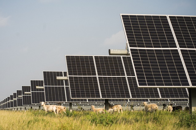 Solar Grazing